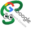 Google Console Skedudle